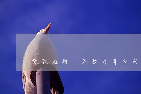 贷款逾期 天数计算公式 贷款逾期 天数计算公式
